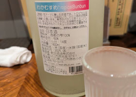 alt 1