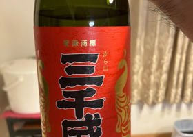 alt 1
