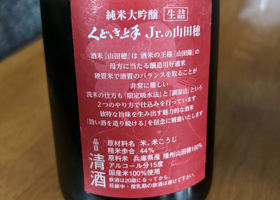 alt 2