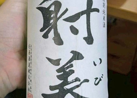 alt 1