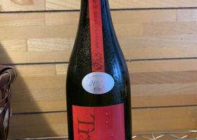 alt 1