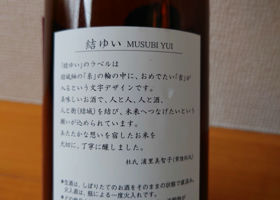 alt 1