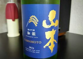 Yamamoto Check-in 1