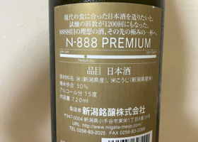 N-888 PREMIUM チェックイン 2