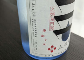 alt 3
