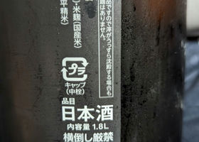 alt 1