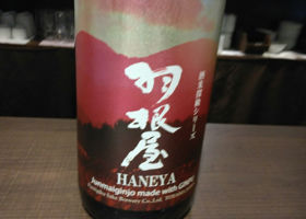 Haneya 签到 3