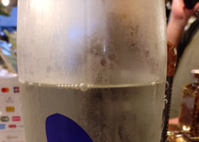 alt 1