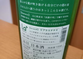 alt 3
