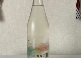 alt 3