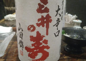 alt 1