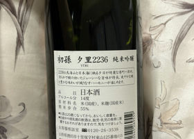alt 2