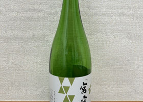 alt 1