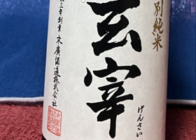 alt 1