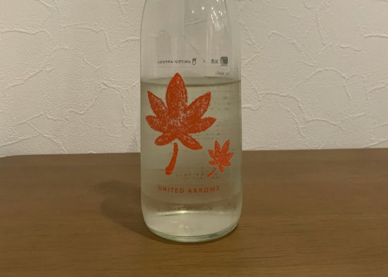 alt 1