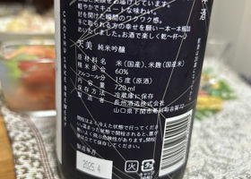 alt 3