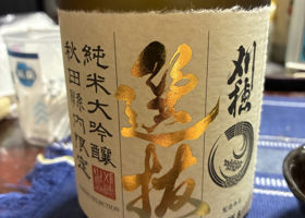 alt 1