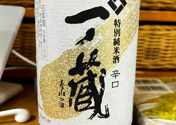 alt 1