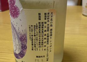 alt 2
