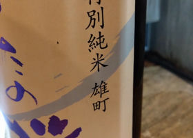 alt 3