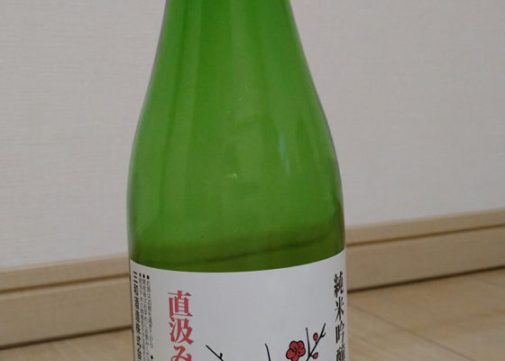 alt 1