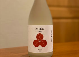 AGEO チェックイン 1