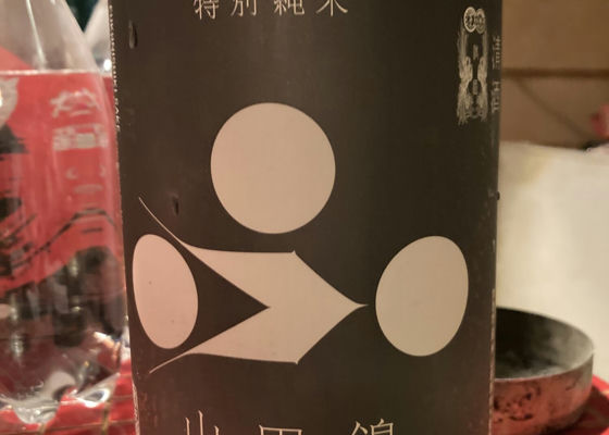 alt 1