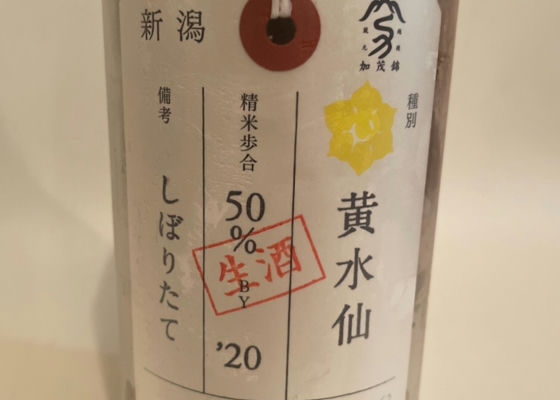 荷札酒　黄水仙 チェックイン 1
