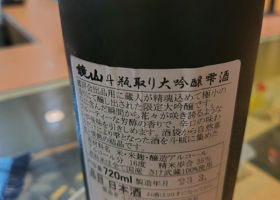 alt 1
