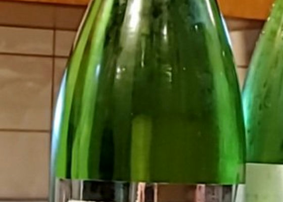 alt 1
