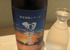 alt 2