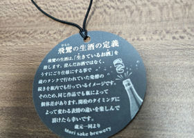 alt 4