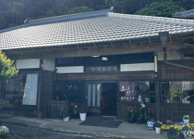 alt 3