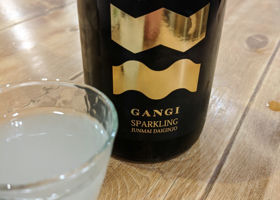 Gangi 签到 2