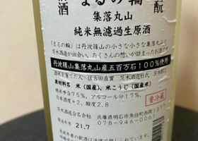 alt 2