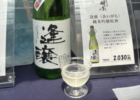 alt 1
