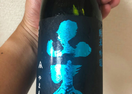 alt 1