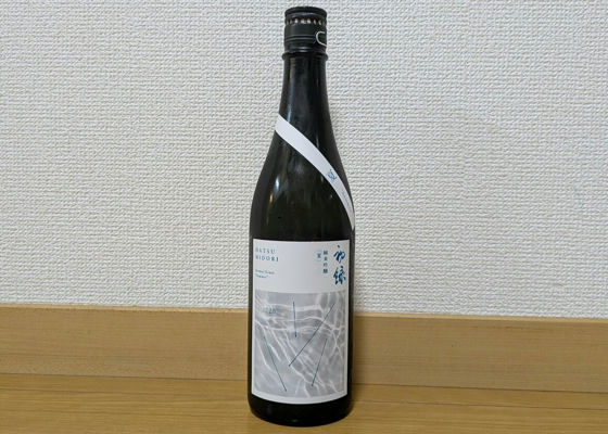 alt 1