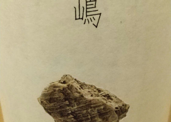 alt 1