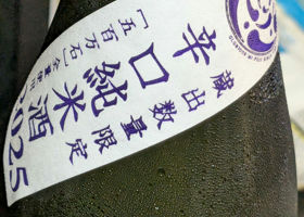 alt 3