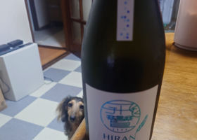 飛鸞 チェックイン 1