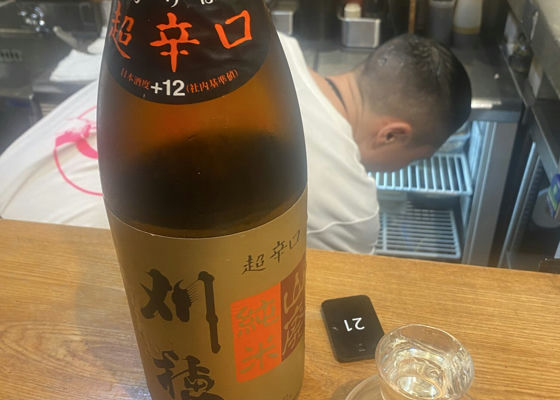 alt 1