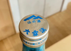 alt 3