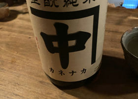 alt 1