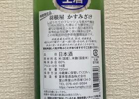 alt 2