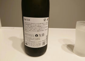 alt 1
