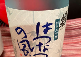 alt 1