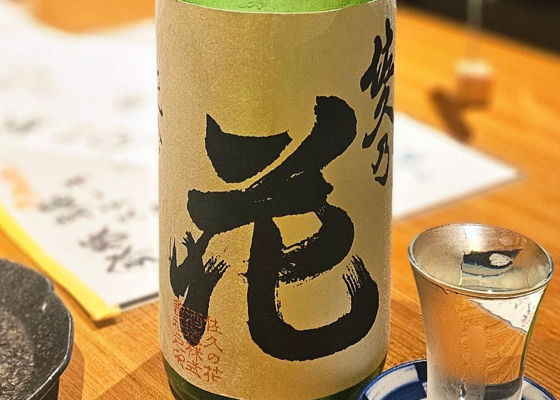 佐久乃花 チェックイン 1