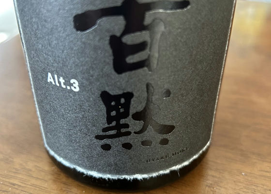 alt 1