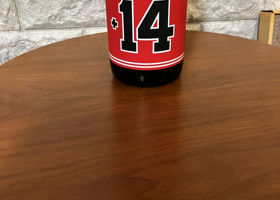 alt 1